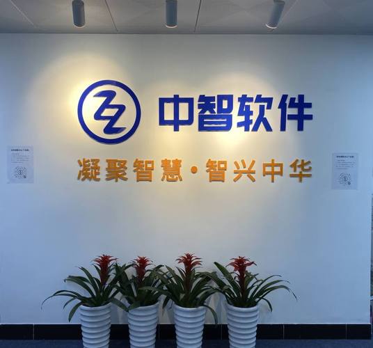 廣州市中智軟件開發